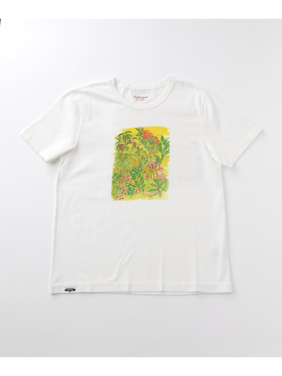 【60th Anniversary Collection】コンパクトヤーン天竺エアロシフォン加工　水彩画Tシャツ【植物】